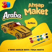 Araba Maketi
